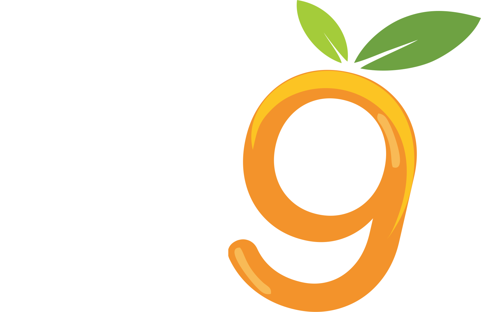 bigmangoevents.com